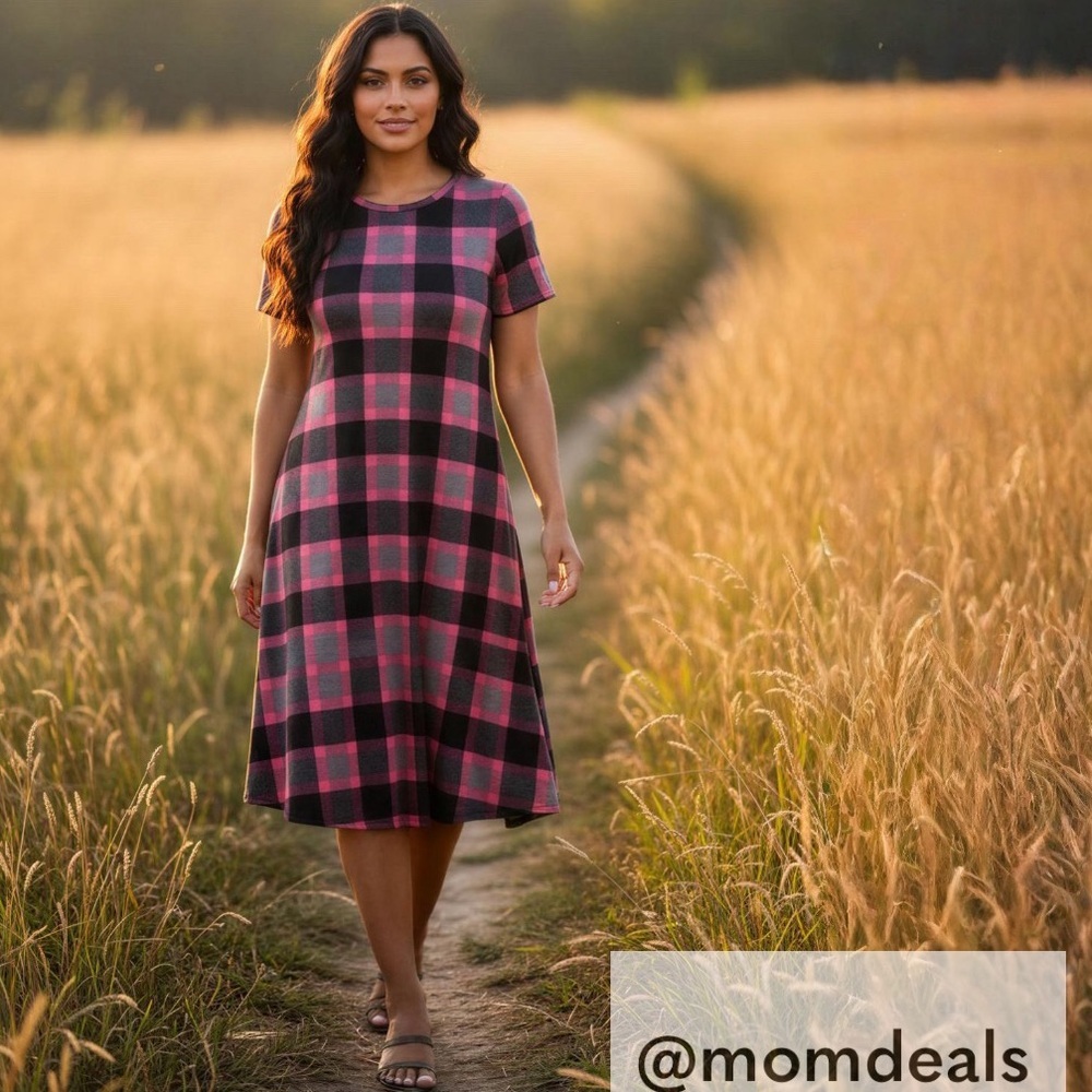 LulaRoe Carly Swing Dress Patch Pocket High Low Hemline Plaid Pink Grey S 6-8